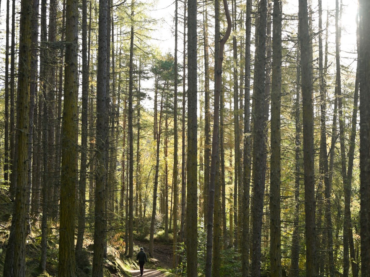 UK Chronicles | Day&nbsp;9