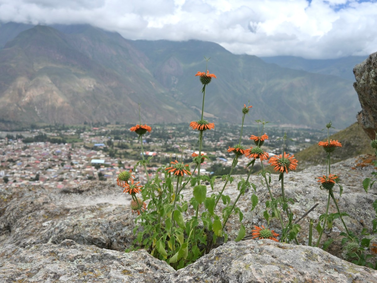 Peru | Day&nbsp;4